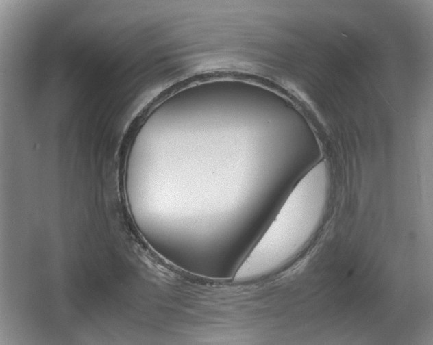 X0000064040877200601270929