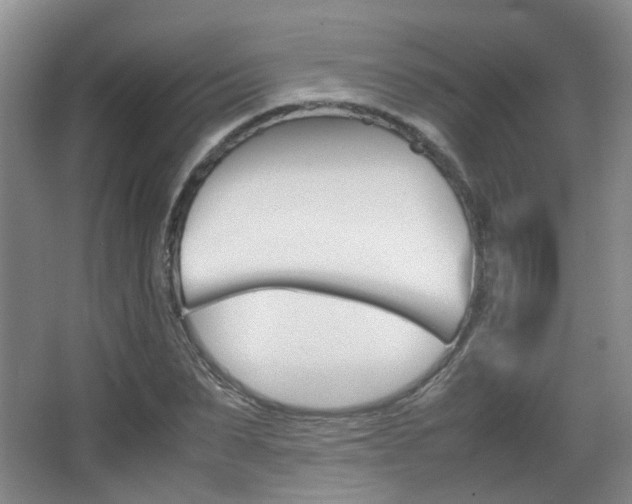 X0000064040879200601270929