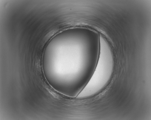 X0000064040881200601270929