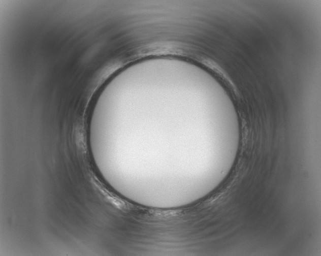 X0000064040882200601270929