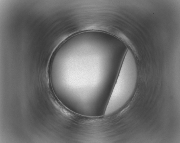 X0000064040892200601270929
