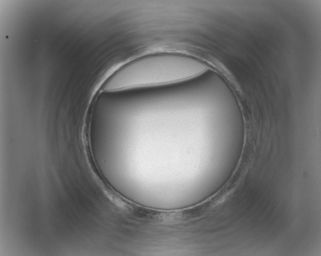 X0000064040893200601270929