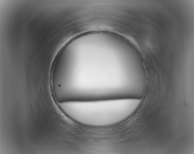 X0000064040895200601270929