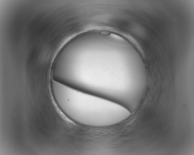 X0000064040903200601270929