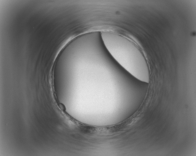 X0000064040907200601270929