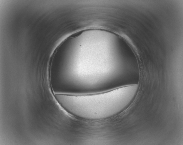 X0000064040910200601270929