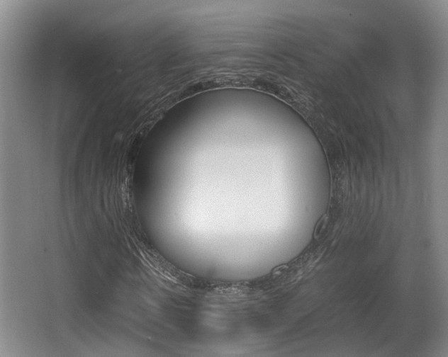 X0000064040914200601270928