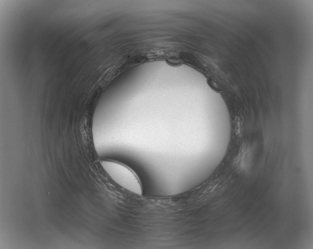 X0000064040915200601270928