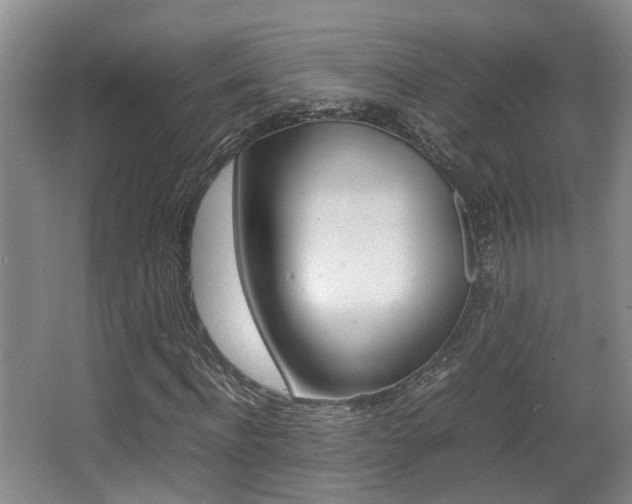 X0000064040916200601270928