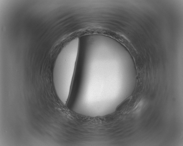 X0000064040919200601270928