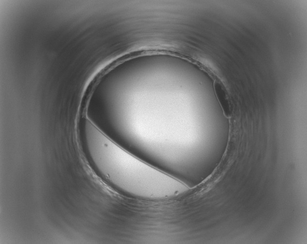 X0000064040928200601270928