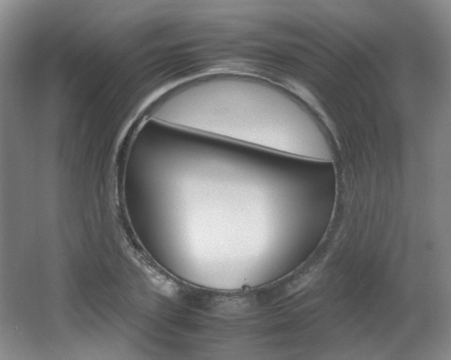 X0000064040931200601270928
