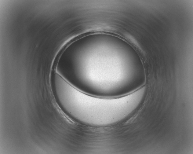 X0000064040932200601270928