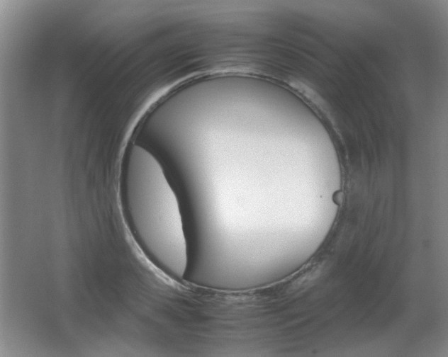 X0000064040941200601270928