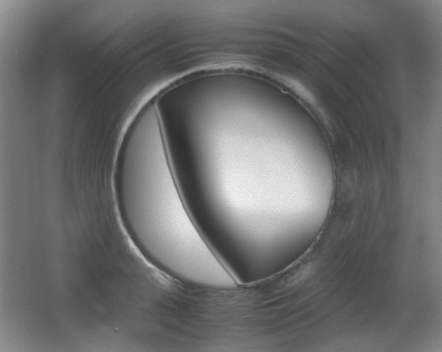 X0000064040943200601270928
