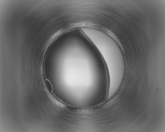 X0000064040946200601270928