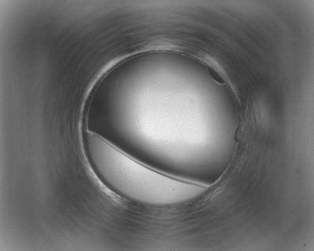 X0000064040947200601270928