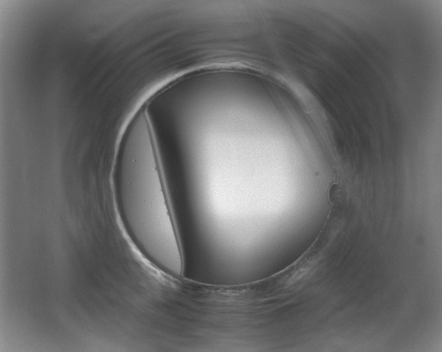 X0000064040951200601270929