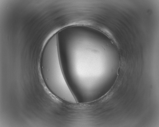 X0000064040952200601270929