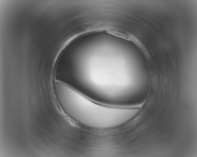 X0000064040956200601270929