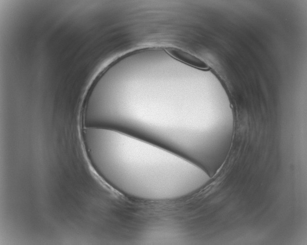 X0000064040958200601270929
