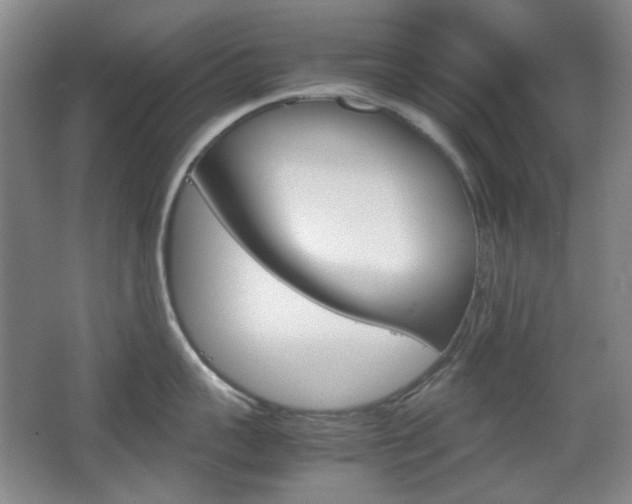 X0000064040959200601270929