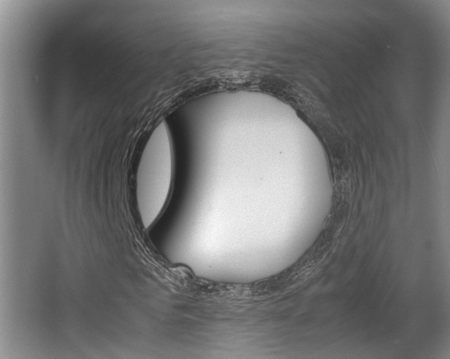 X0000064040961200601270928