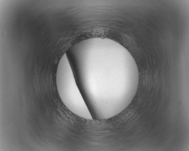 X0000064040962200601270928