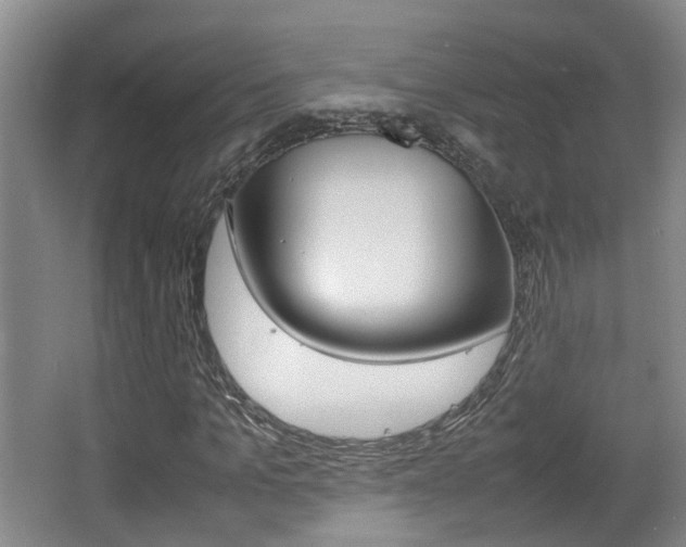 X0000064040965200601270928