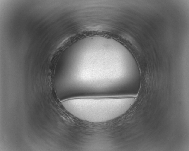 X0000064040968200601270928