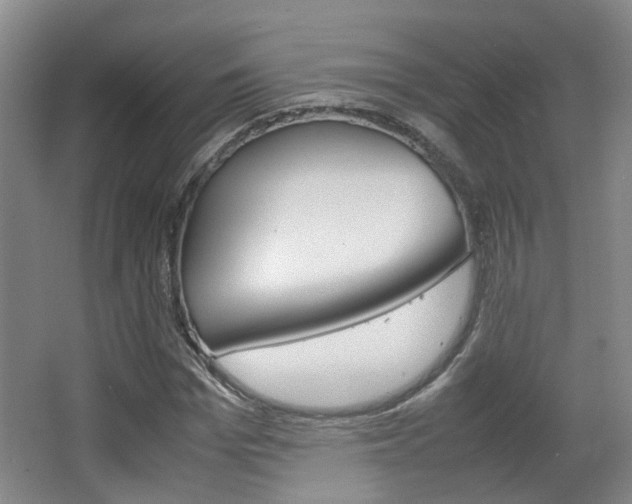 X0000064040969200601270928