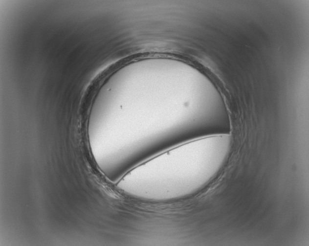 X0000064040971200601270928