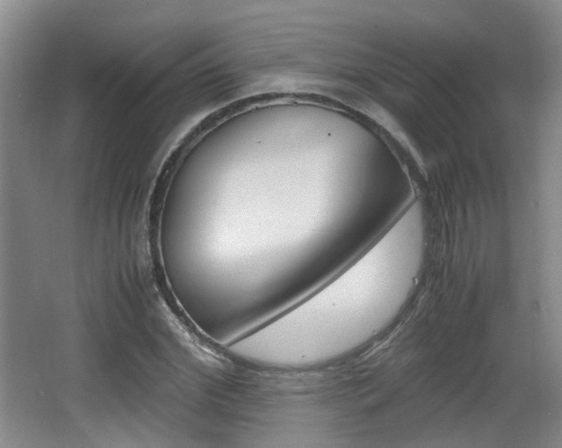 X0000064040972200601270928