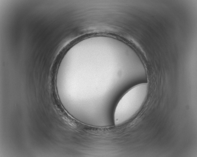 X0000064040975200601270928