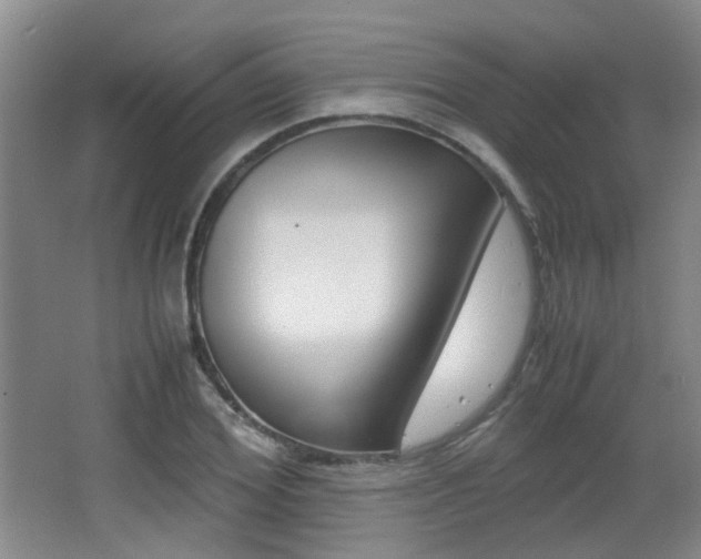 X0000064040980200601270928