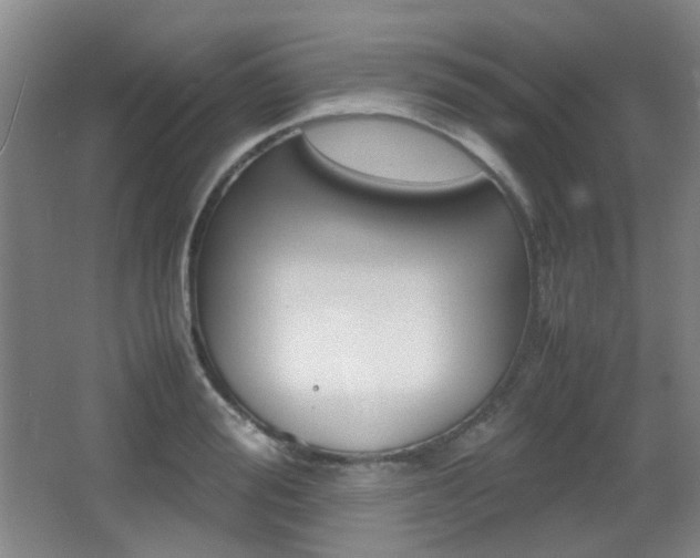 X0000064040988200601270927