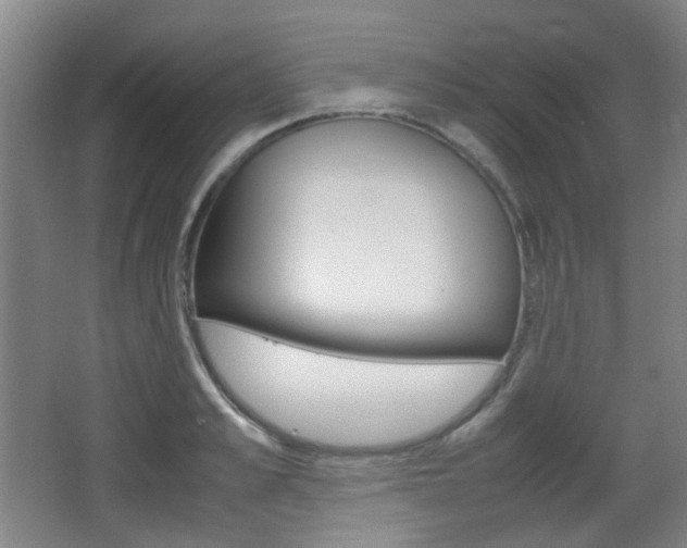 X0000064040989200601270927