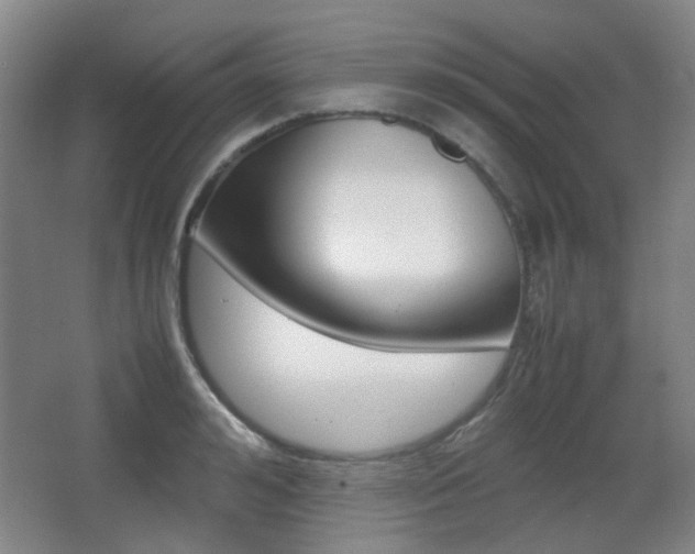 X0000064040992200601270927