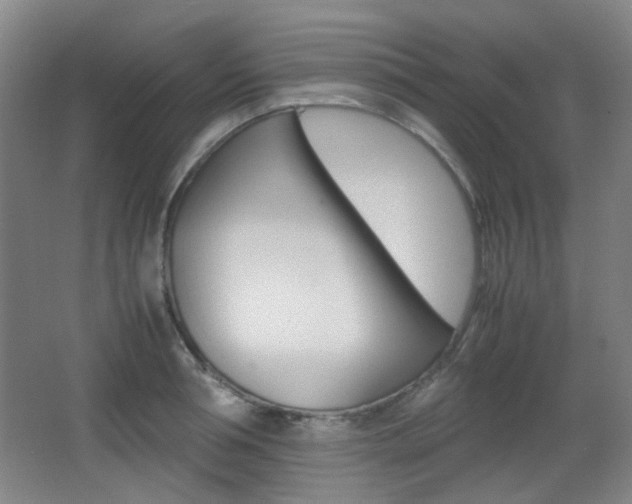 X0000064040994200601270927