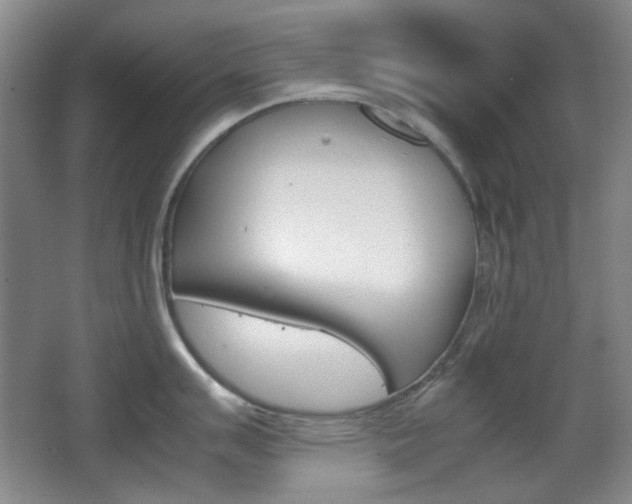 X0000064041007200601270927
