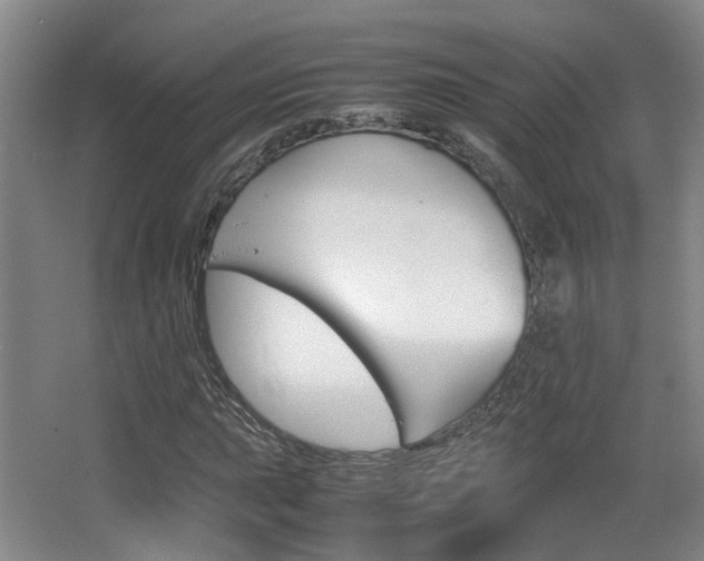 X0000064041015200601270926