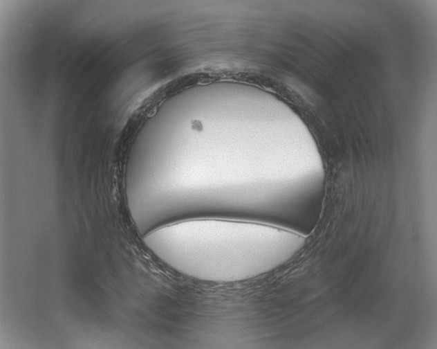 X0000064041016200601270926
