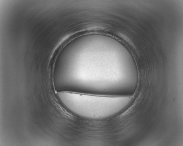 X0000064041021200601270926