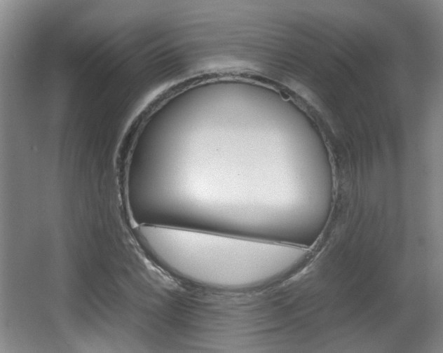 X0000064041022200601270926