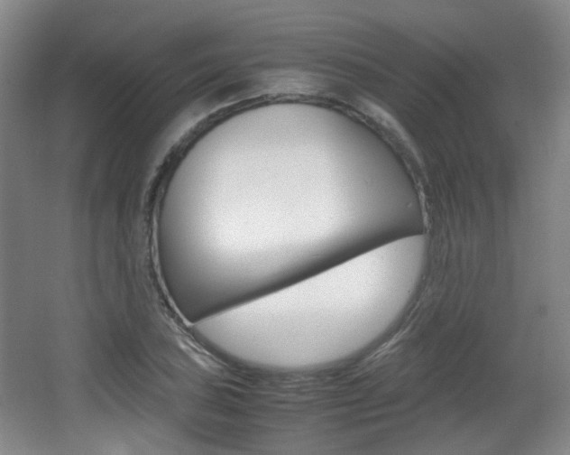 X0000064041027200601270927