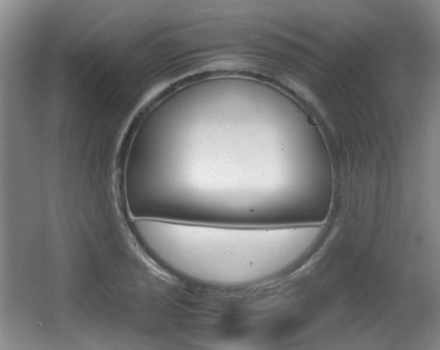 X0000064041029200601270927