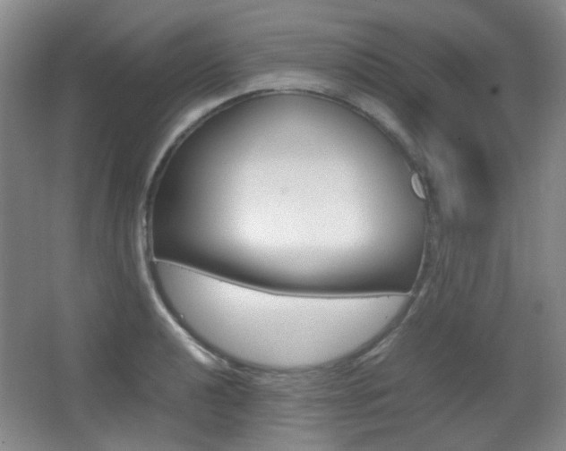 X0000064041040200601270927