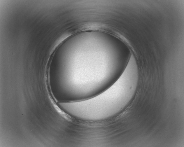 X0000064041042200601270927