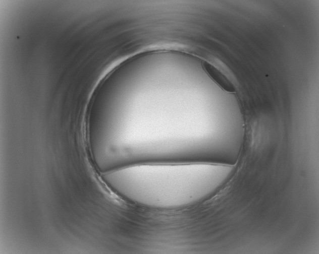 X0000064041044200601270927