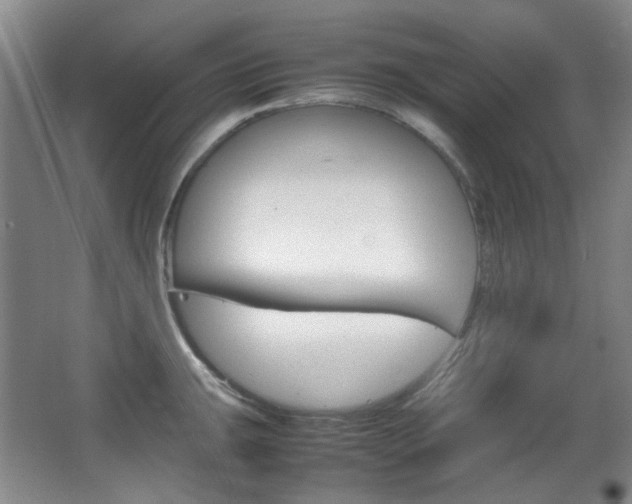 X0000064041047200601270927